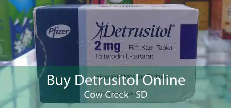 Buy Detrusitol Online Cow Creek - SD